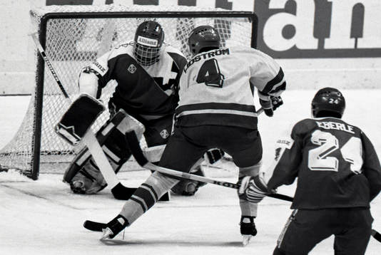 Nicklas Lidström, Sverige