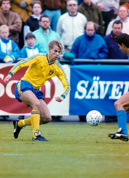 Niclas Alexandersson, Sverige