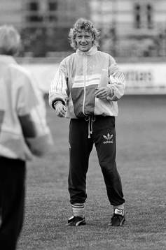 Jesper Jansson, Sverige
