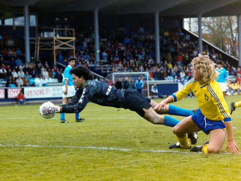 Jesper Jansson, Sverige