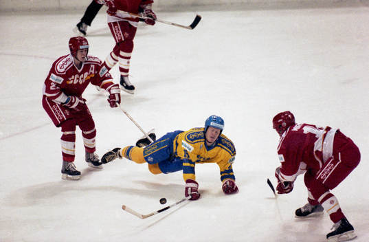 Johan Garpenlöv, Sverige