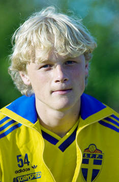 Robert Nordstrand, Sverige