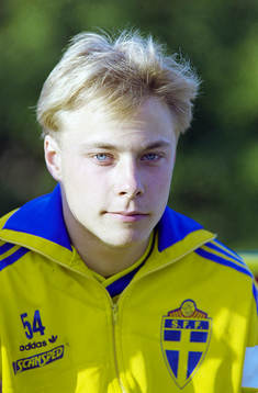 Anders Andersson, Sverige
