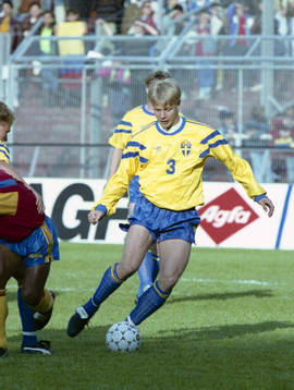 Mikael Nilsson, Sverige