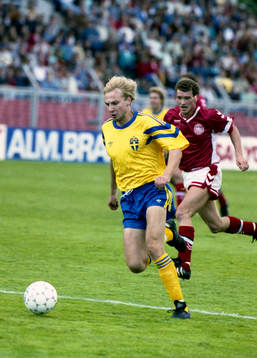 Håkan Mild, Sverige