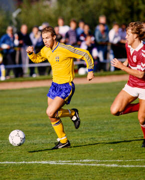 Sveriges Niclas Alexandersson