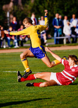 Sveriges Niclas Alexandersson