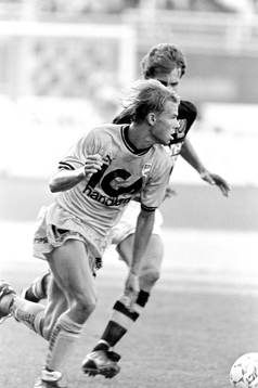 Niclas Alexandersson, Halmstad