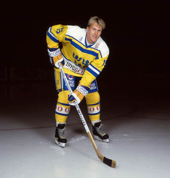 Johan Garpenlöv of Sweden poses for a photo