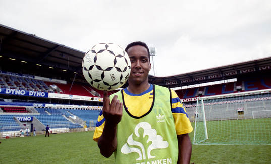 Martin Dahlin, Sverige