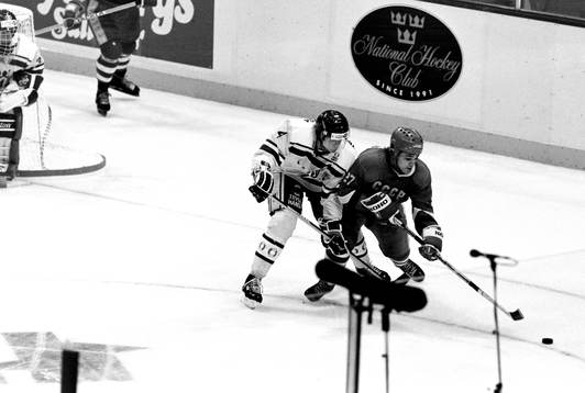 Nicklas Lidström, Sverige