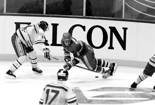 Nicklas Lidström, Sverige