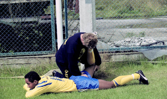 Martin Dahlin, Sverige får massage
