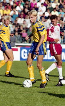 Håkan Mild, Sverige