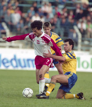 Stefan Rehn