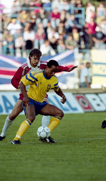 Martin Dahlin, Sverige
