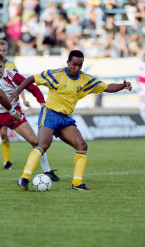 Martin Dahlin, Sverige
