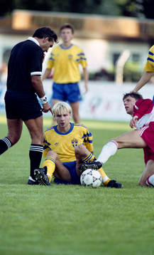 Håkan Mild, Sverige