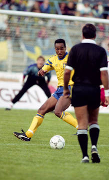 Martin Dahlin, Sverige