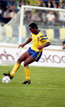 Martin Dahlin, Sverige