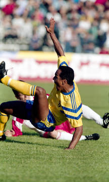 Martin Dahlin, Sverige