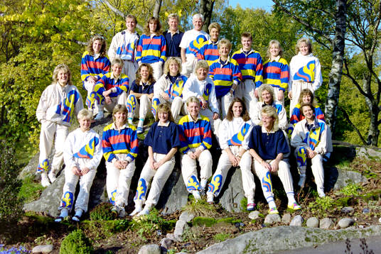 Sveriges trupp