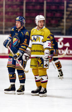 Charles Berglund, Djurgården och Stefan Falk, HV71