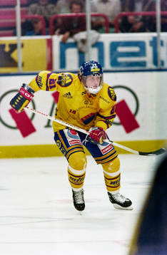 Mariusz Czerkawski, Djurgården