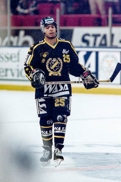 Patrik Erickson, AIK