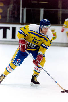Thomas Rundqvist, Sverige