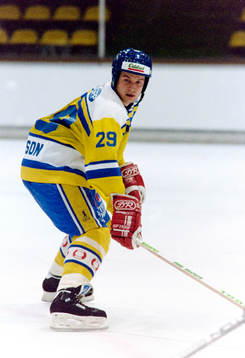 Stefan Larsson, Sverige