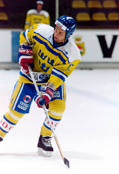 Daniel Rydmark, Sverige