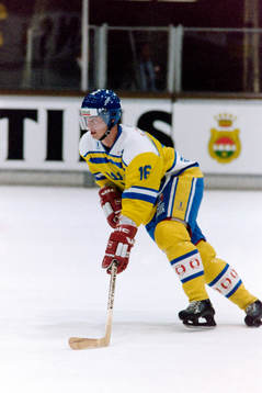Bengt-Åke Gustafsson, Sverige