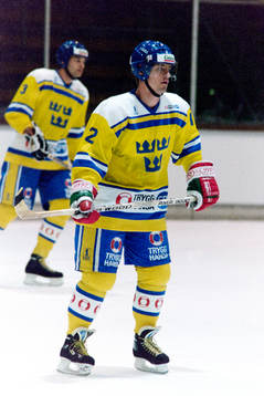 Petri Liimatainen, Sverige
