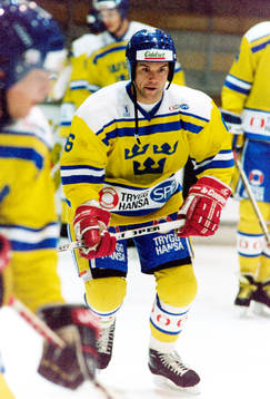 Tommy Sjödin, Sverige