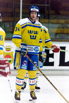 Roger Johansson, Sverige
