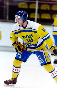 Patric Kjellberg, Sverige
