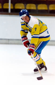 Daniel Rydmark, Sverige