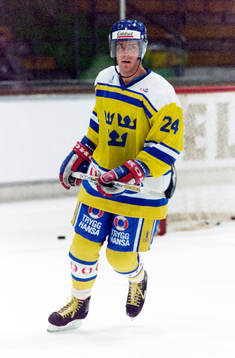 Peter Ottosson, Sverige