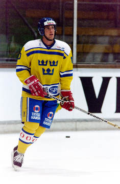 Roger Hansson, Sverige
