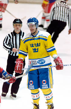 Thomas Rundqvist, Sverige