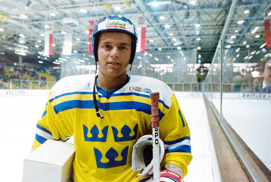 Daniel Rydmark, Sverige