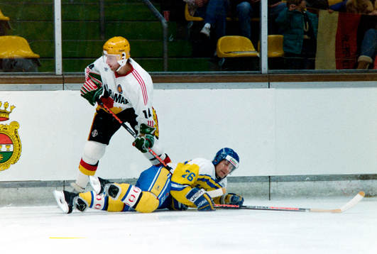 Mats Näslund, Sverige