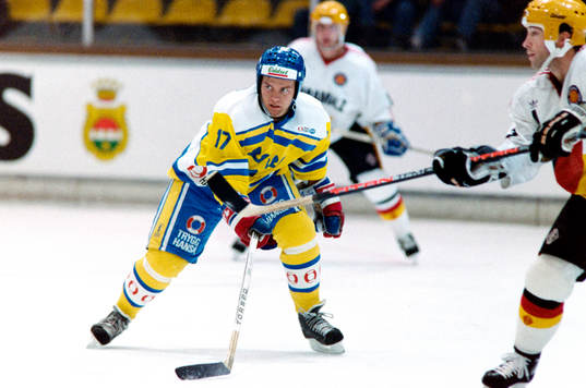 Daniel Rydmark, Sverige
