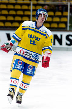 Håkan Loob, Sverige