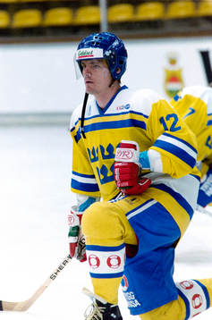 Håkan Loob, Sverige