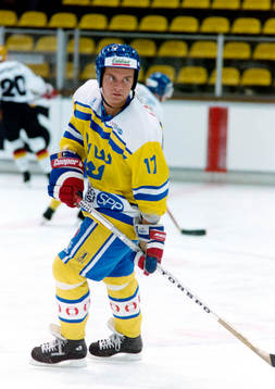 Daniel Rydmark, Sverige
