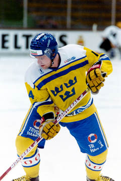 Johan Strömwall, Sverige