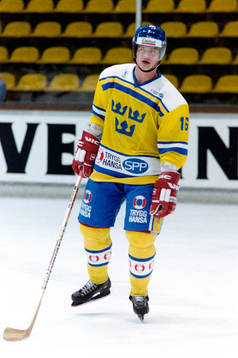 Bengt-Åke Gustafsson, Sverige