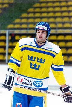 Peter Popovic, Sverige